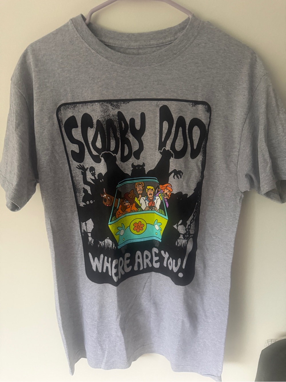 Scooby-Doo Graphic Short Sleeve Tee in Grey